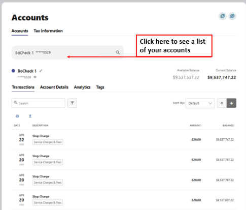 Account Drop Down and Search Bar